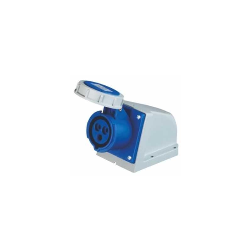 Enchufe Hembra Fijo Sobrepuesto, 2P+T, 63A, IP67